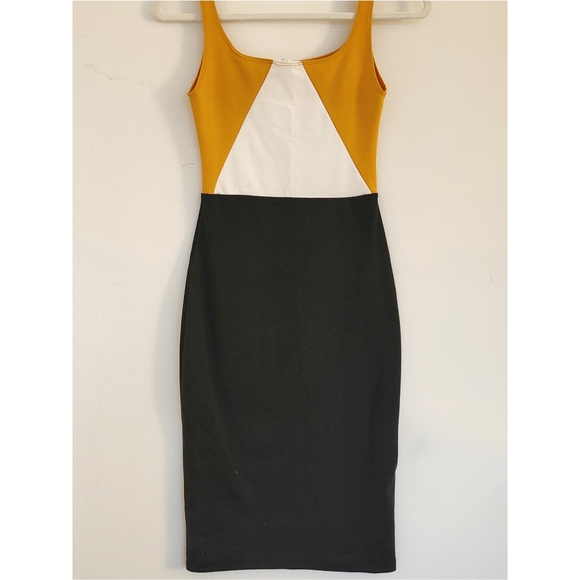 Zara Bodycon Dress - Picture 2 of 4